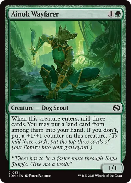 Ainok Wayfarer, Tarkir: Dragonstorm — Magic: The Gathering card