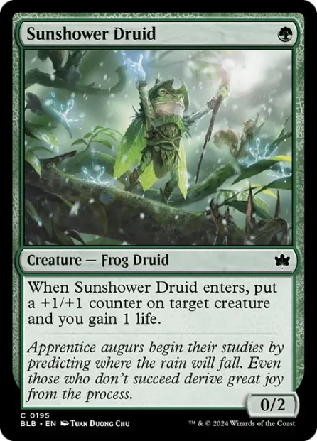 Sunshower Druid, Bloomburrow — Magic: The Gathering card