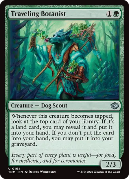 Traveling Botanist, Tarkir: Dragonstorm — Magic: The Gathering card